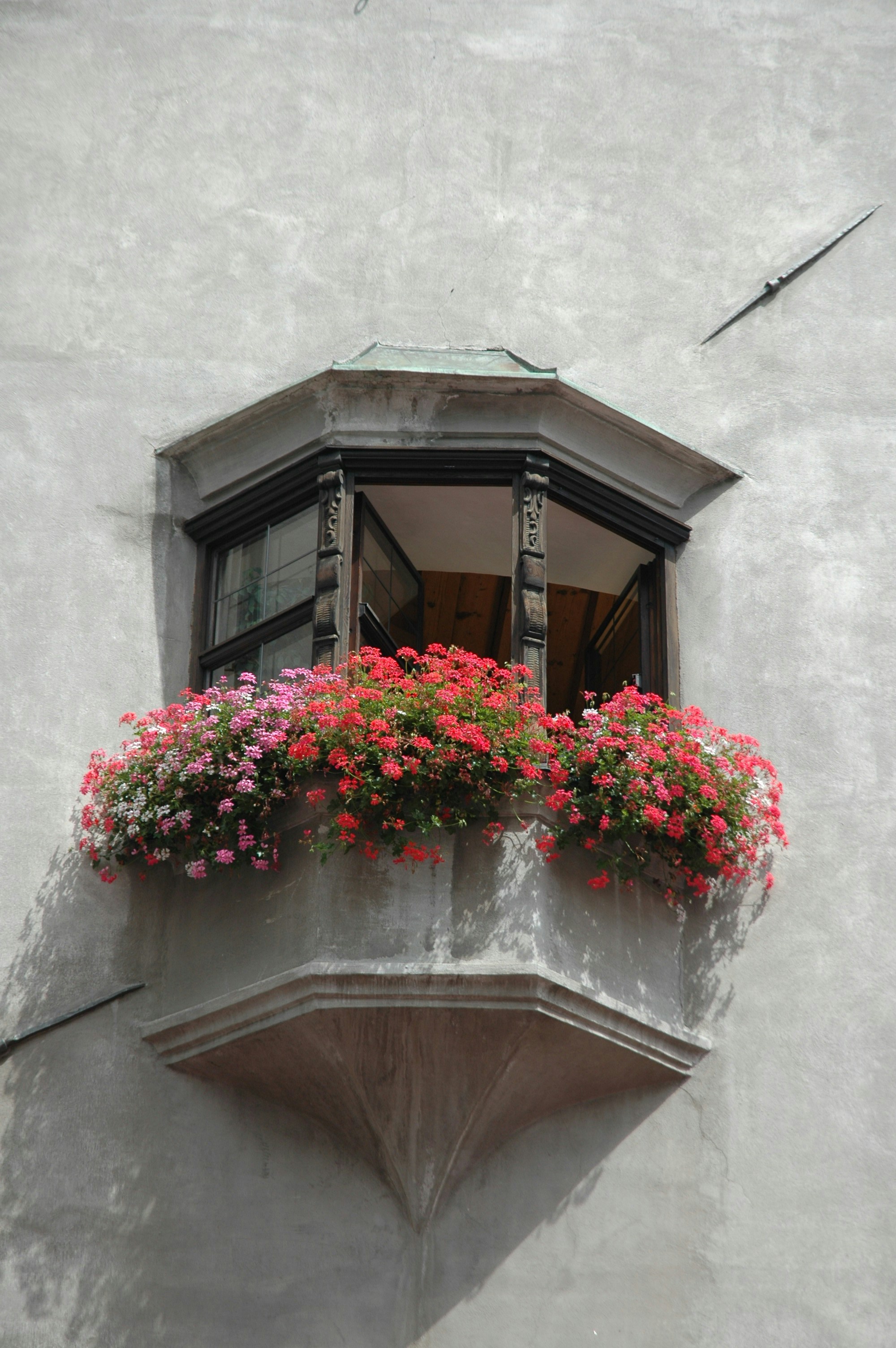 Balcony garden view