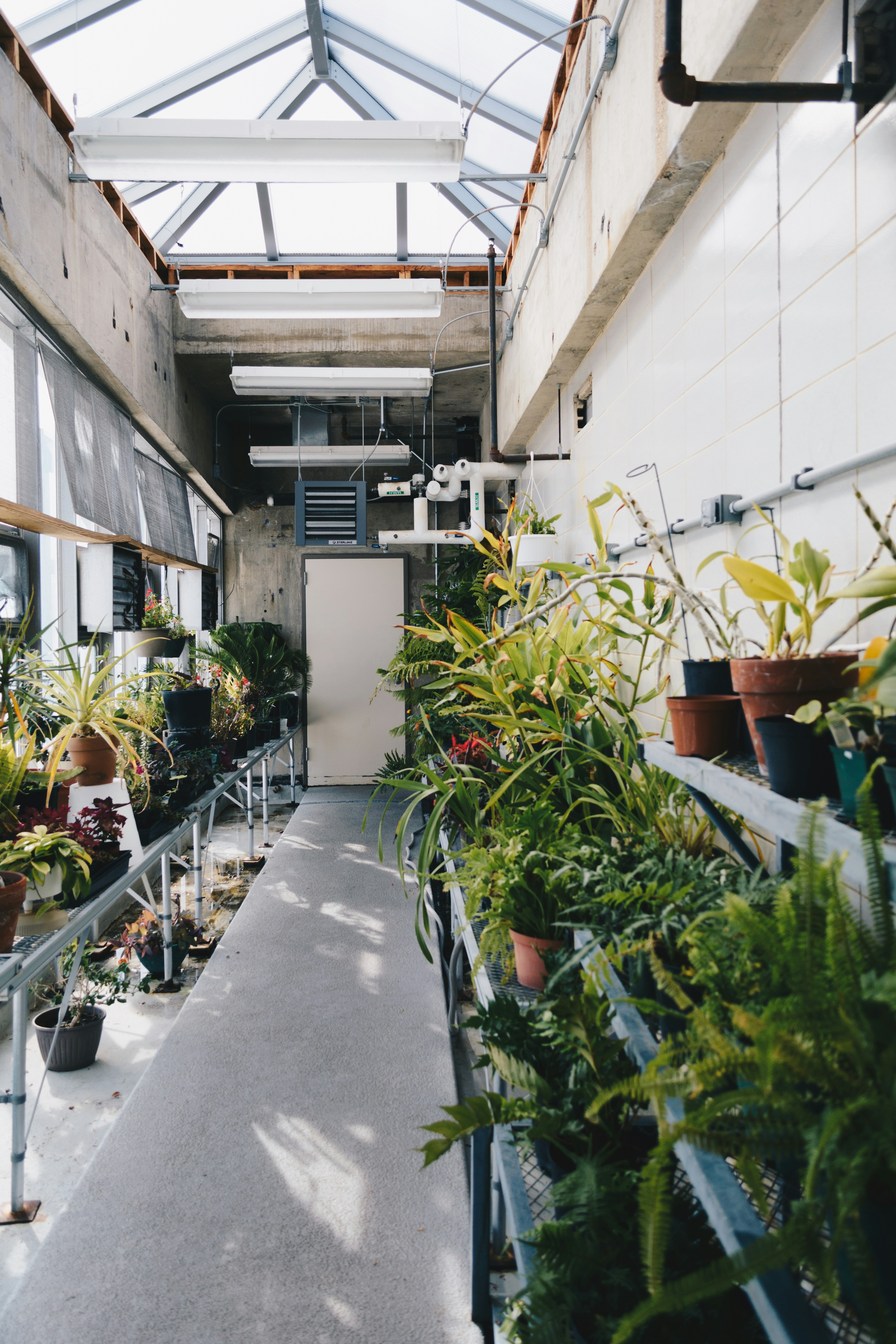 Indoor plants grouping