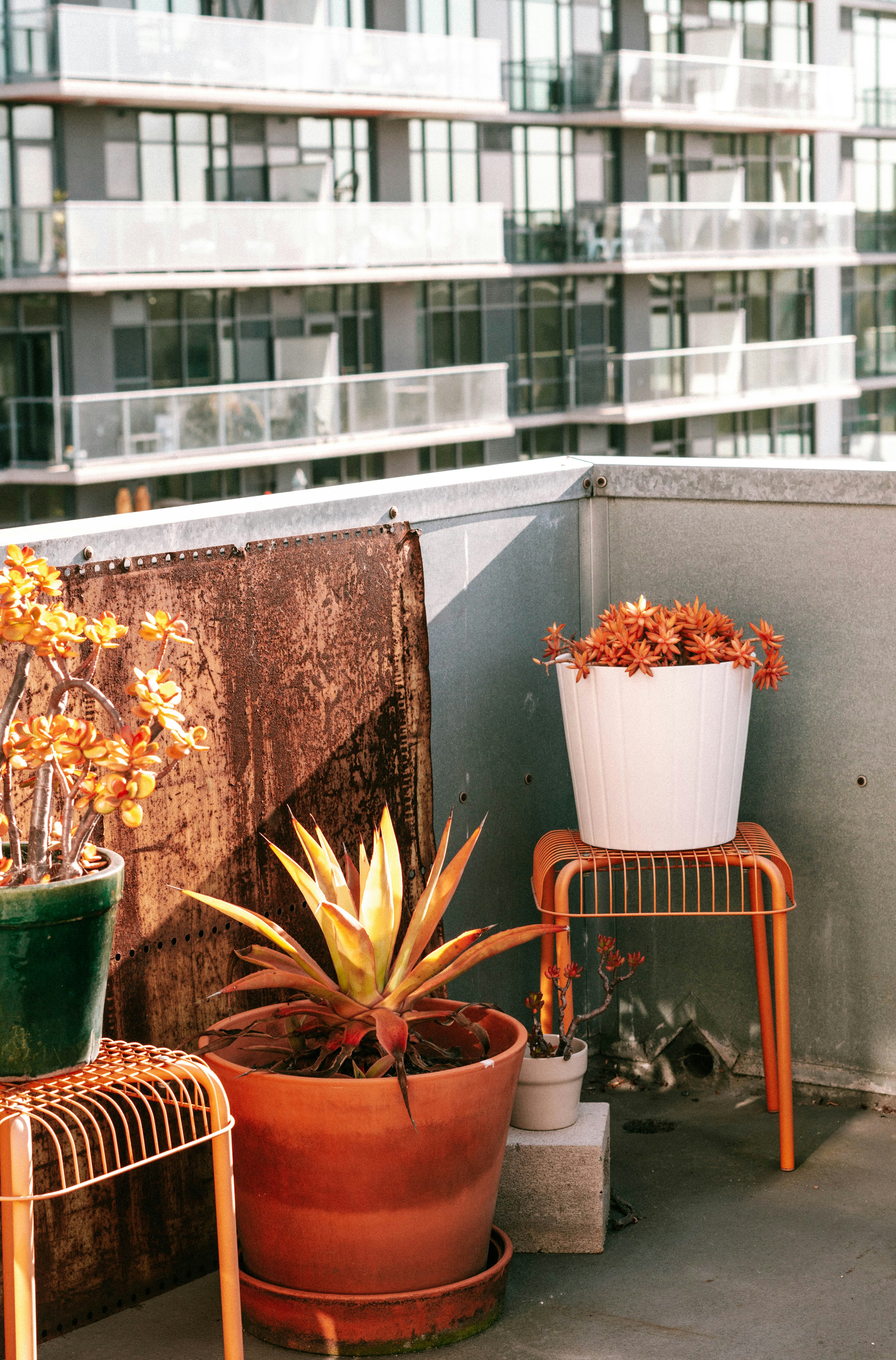 Urban rooftop pots