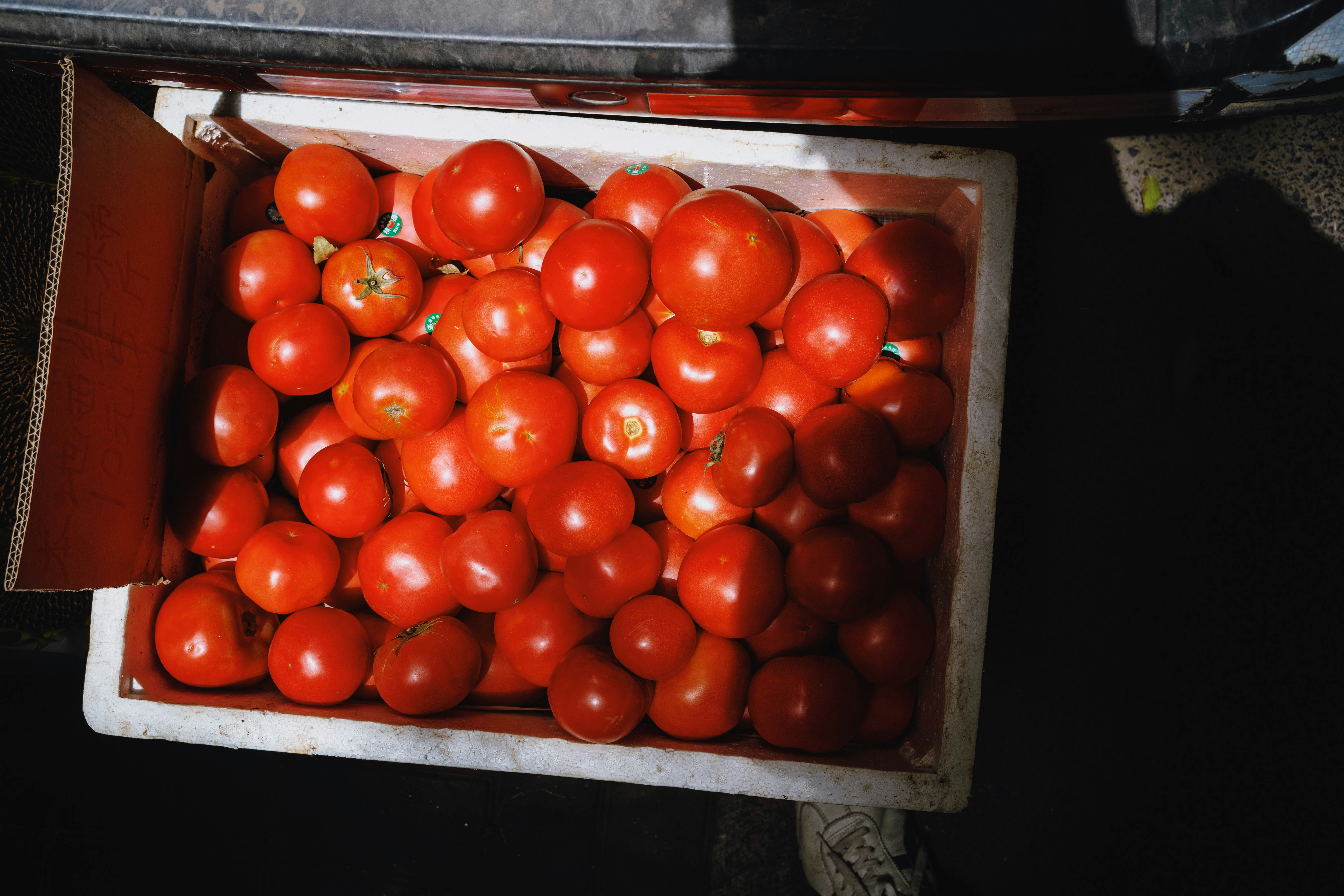Tomatoes in crate